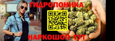 твердый Пугачёв