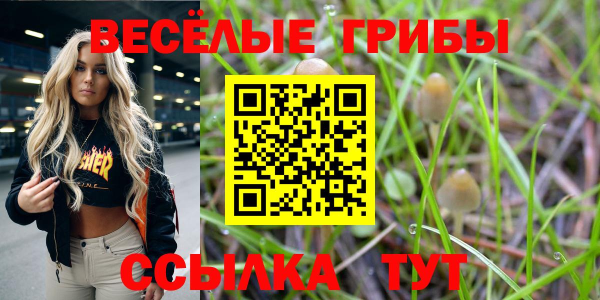Северск  Псилоцибиновые грибы GOLDEN TEACHER  Галлюциногенные грибы ЛСД  Вход с VPN 