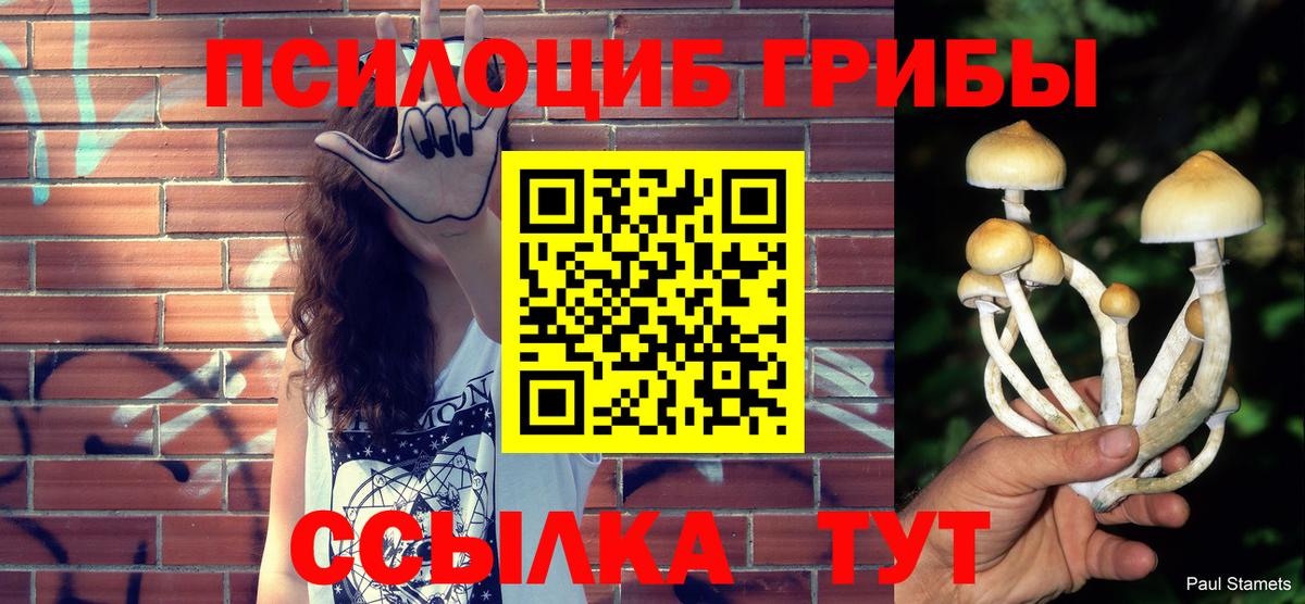 Псилоцибиновые грибы MAGIC MUSHROOMS Северск